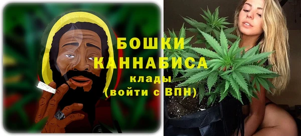 PSILOCYBIN Лихославль